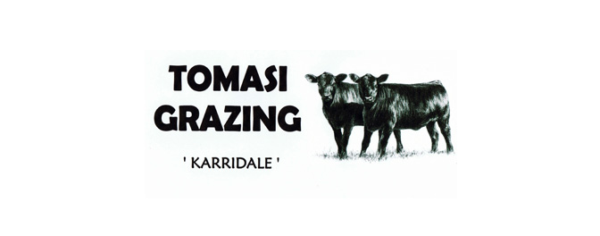 tomasi-grazing