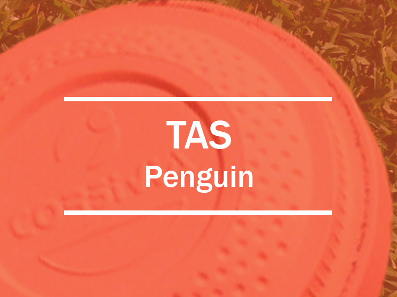 tas-penguin-box